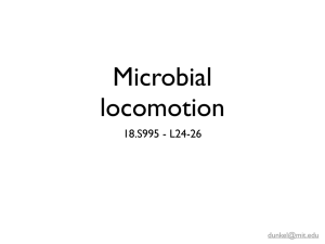 Microbial locomotion 18.S995 - L24-26