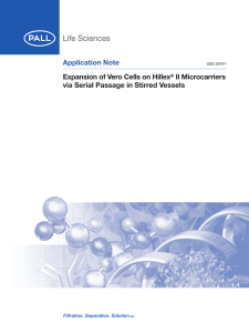 Application Note Expansion of Vero Cells on Hillex II Microcarriers