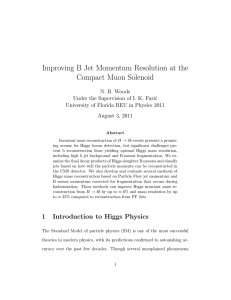 Improving B Jet Momentum Resolution at the Compact Muon Solenoid