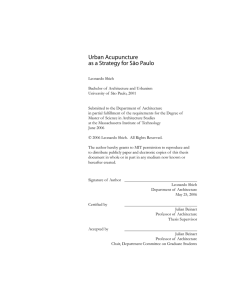 Urban Acupuncture as a Strategy for São Paulo