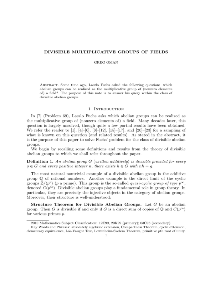 divisible-multiplicative-groups-of-fields