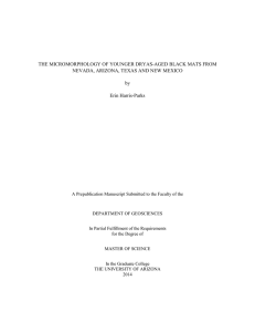 THE MICROMORPHOLOGY OF YOUNGER DRYAS-AGED BLACK MATS FROM by