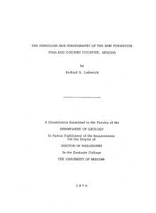 Richard B. Lodewick A Dissertation Submitted to the Faculty of the