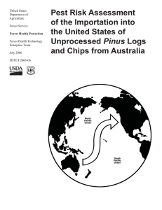 Pest Risk Assessment of the Importation into the United States of Pinus