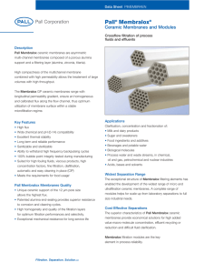 Pall Membralox Ceramic Membranes and Modules Description
