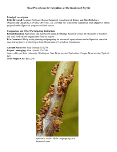 Final Pre-release Investigations of the Knotweed Psyllid