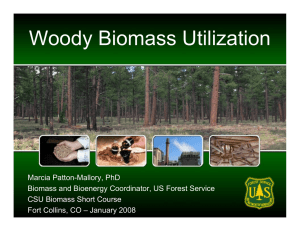 Woody Biomass Utilization
