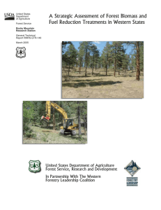 A Strategic Assessment of Forest Biomass and