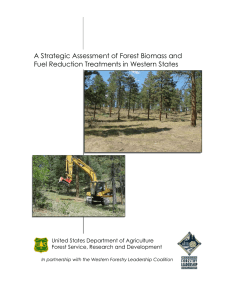 A Strategic Assessment of Forest Biomass and