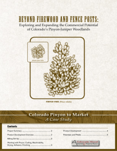 Beyond Firewood and Fence Posts: Colorado Pinyon to Market A Case Study
