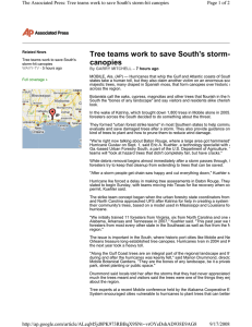 Tree teams work to save South's storm- canopies Page 1 of 2