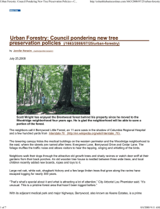 Urban Forestry: Council Pondering New Tree Preservation Policies » C...