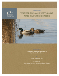 WATERFOWL AND WETLANDS AMID CLIMATE CHANGE Conserving