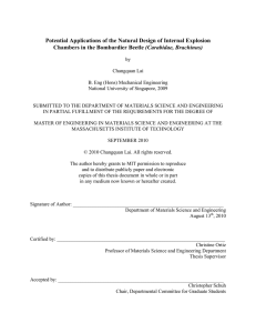 Potential Applications of the Natural Design of Internal Explosion (Carabidae, Brachinus)