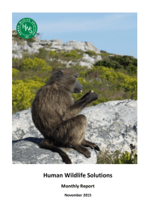 Human Wildlife Solutions Monthly Report November 2015