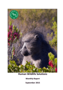 Human Wildlife Solutions Monthly Report September 2015