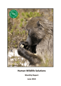 Human Wildlife Solutions Monthly Report June 2015