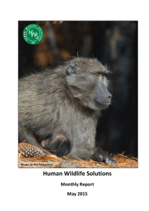 Human Wildlife Solutions Monthly Report May 2015