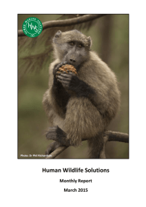 Human Wildlife Solutions Monthly Report March 2015