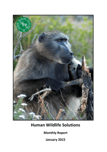 Human Wildlife Solutions Monthly Report January 2015