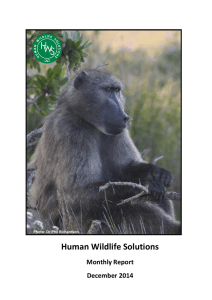 Human Wildlife Solutions Monthly Report December 2014