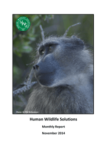 Human Wildlife Solutions Monthly Report November 2014