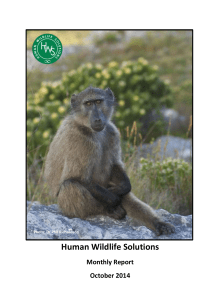 Human Wildlife Solutions Monthly Report October 2014