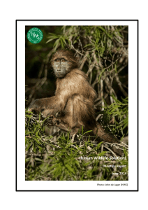 Human Wildlife Solutions Monthly Report June 2014