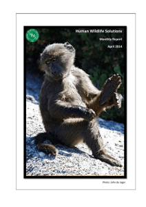 Human Wildlife Solutions Monthly Report April 2014
