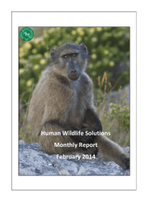 Human Wildlife Solutions Monthly Report February 2014