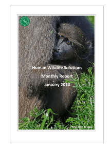 Human Wildlife Solutions Monthly Report January 2014