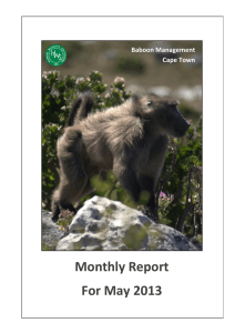 Monthly Report For May 2013 Baboon Management
