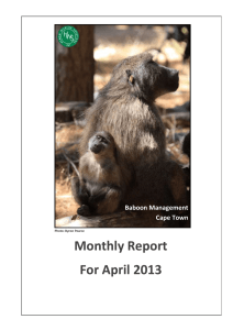 Monthly Report For April 2013 Baboon Management