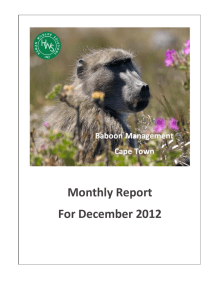 Monthly Report For December 2012
