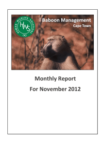 Monthly Report For November 2012