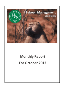 Monthly Report For October 2012