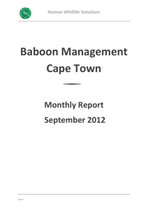 Baboon Management Cape Town Monthly Report September 2012