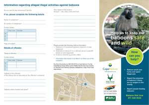Information regarding alleged illegal activities against baboons