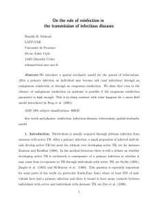 On the role of reinfection in the transmission of infectious diseases