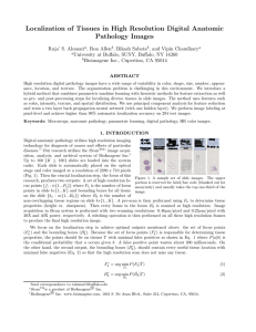 Localization of Tissues in High Resolution Digital Anatomic Pathology Images