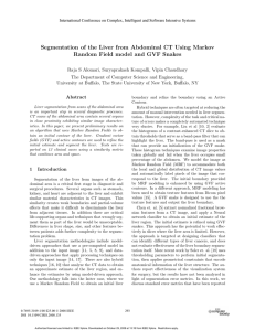 Segmentation of the Liver from Abdominal CT Using Markov