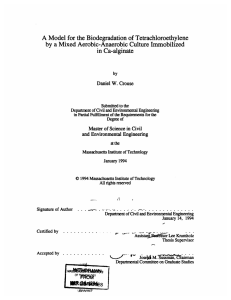 A  Model  for the Biodegradation of  Tetrachloroethylene