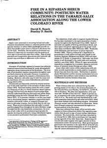 FIRE IN A RIPARIAN SHRUB COMMUNITY: POSTBURN WATER RELATIONS IN THE