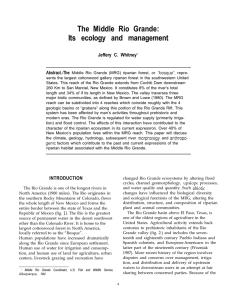 The Middle Rio Grande: Its ecology and management Jeffery C. Whitney’ Abstract.-The