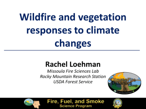 Wildfire and vegetation responses to climate changes Rachel Loehman