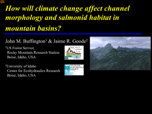 How will climate change affect channel morphology and salmonid habitat in