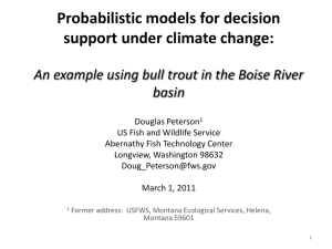 Probabilistic models for decision support under climate change: basin
