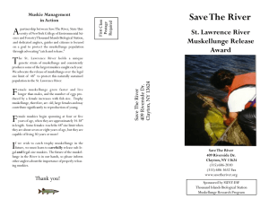 A Save The River St. Lawrence River