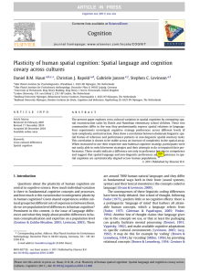 Plasticity of human spatial cognition: Spatial language and cognition