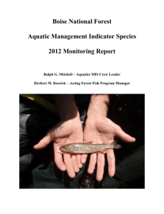 Boise National Forest  Aquatic Management Indicator Species 2012 Monitoring Report